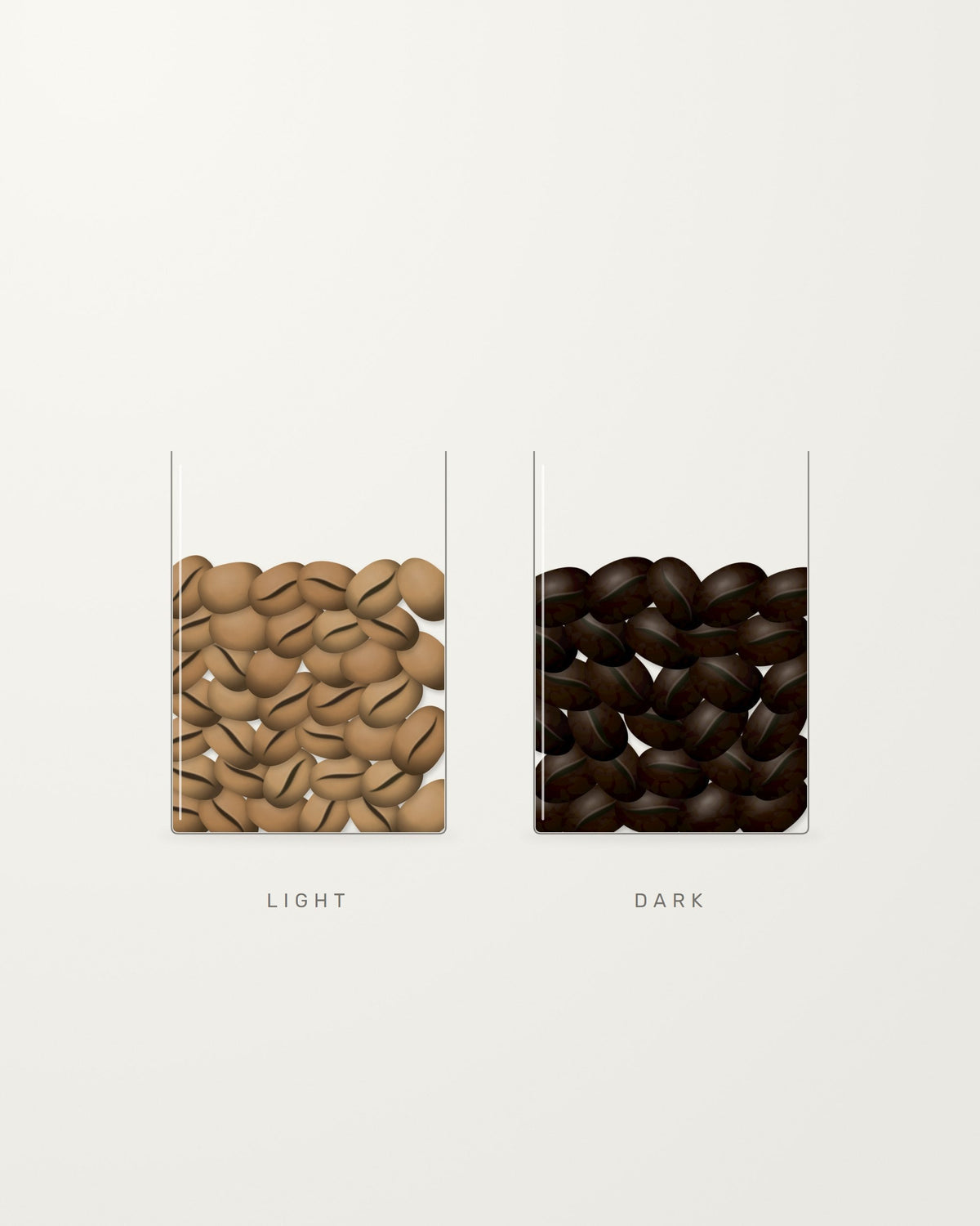 Two glasses filled to the same level with light roast and dark roast coffee beans
